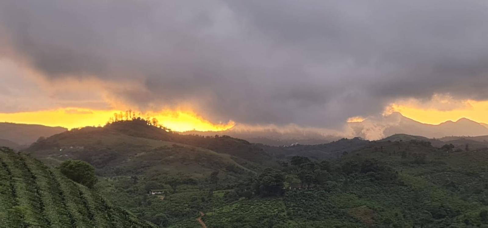 Vaga Mist Resort Vagamon Idukki Εξωτερικό φωτογραφία